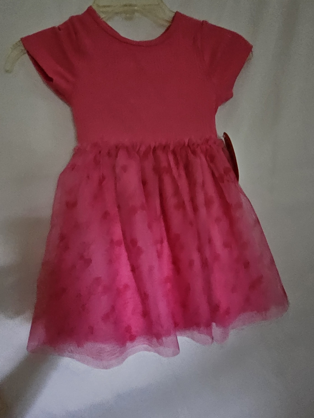 #33 Girls' Pink Tulle Skater Dress
